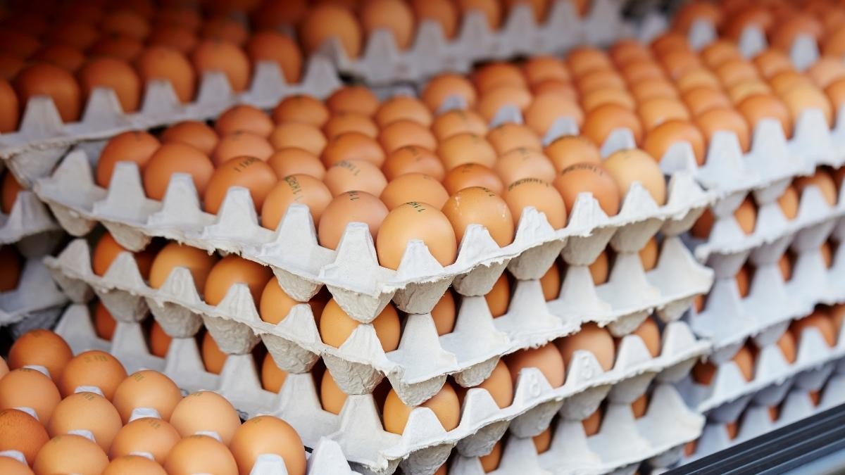 Cuántos huevos se pueden comer por día y por qué ayudan a bajar de peso
