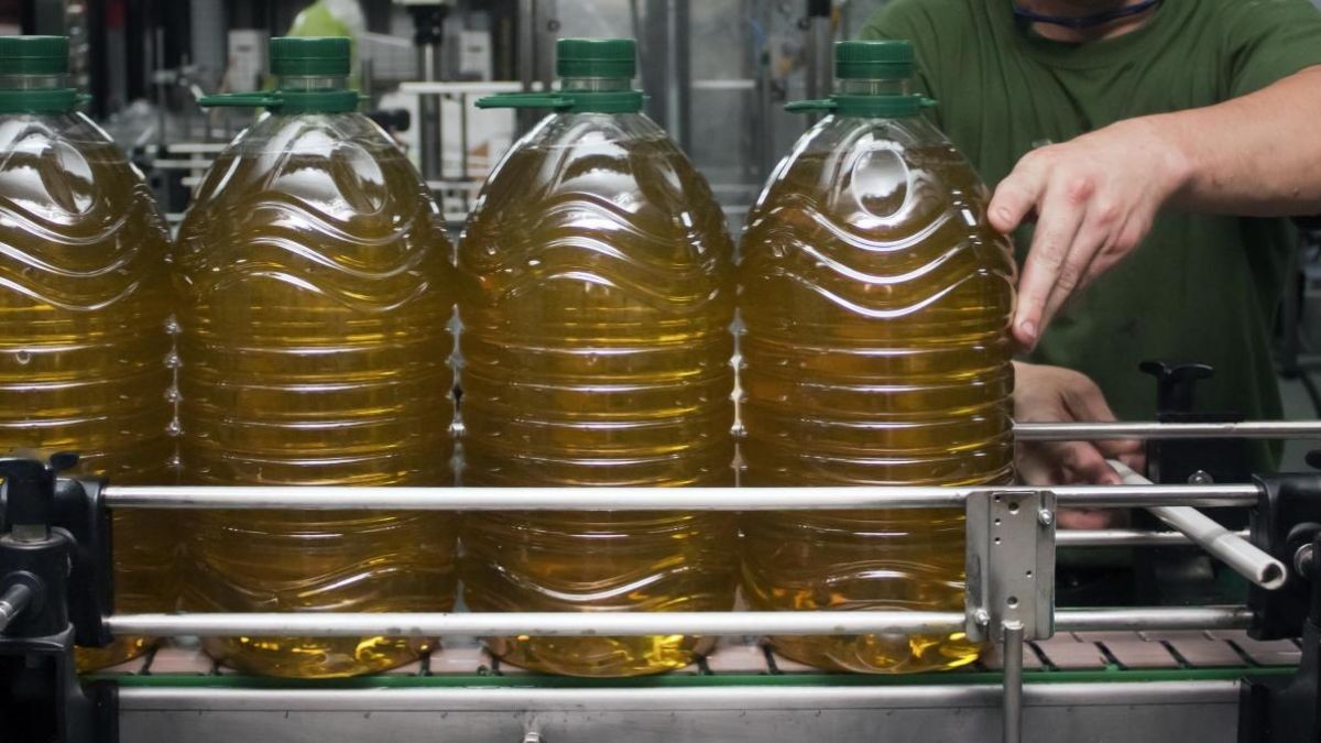Ni Alcampo ni Carrefour: la almazara que baja el precio de su aceite de oliva virgen extra más exclusivo