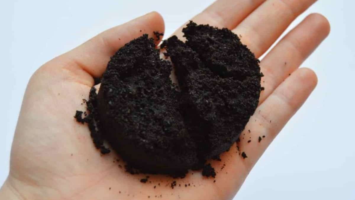 Científicos descubren un uso sorprendente y práctico para los restos de café molido