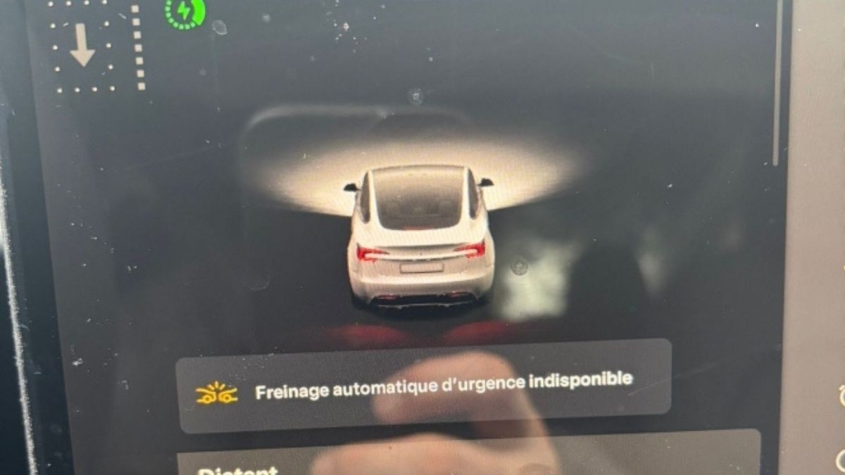 Dos hombres compran un Tesla nuevo y un problema les impide utilizarlos: "es como un coche normal, pero de 40.000 euros"