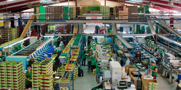 Nuevos empleos en Vicasol Almería gracias a un nuevo centro de trabajo