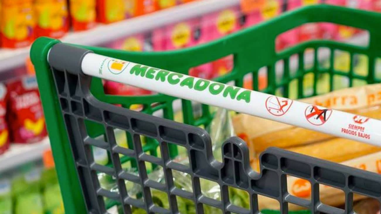 Informe OCU: estos son los supermercados más baratos  con los que ahorrar más de 1.000 euros