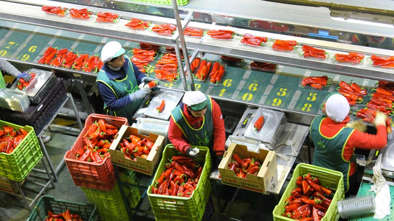 Vicasol en Almería necesita personal para trabajar en sus almacenes