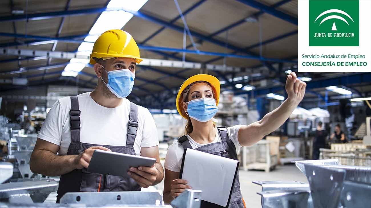 561 ofertas de empleo en Andalucía para todos los niveles de formación