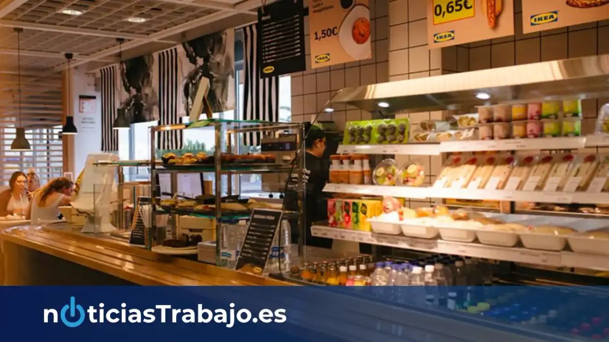 Ofertas de Empleo del IMFE de Málaga 1 de agosto