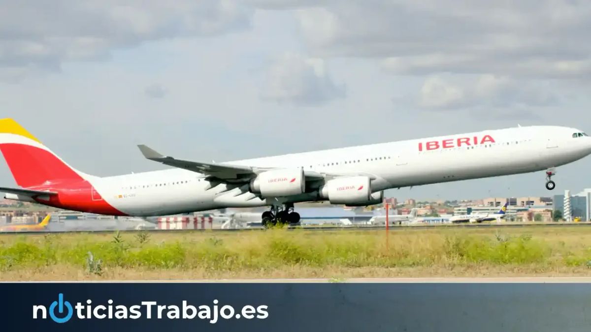 La Compañía aérea Air Nostrum contratará en Granada tripulantes de cabina