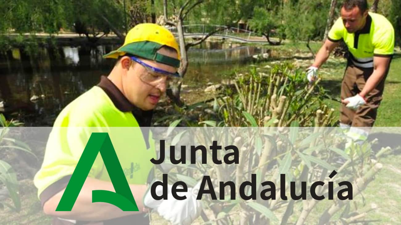 El Servicio Andaluz de Empleo publica 74 ofertas de empleo para personas con discapacidad