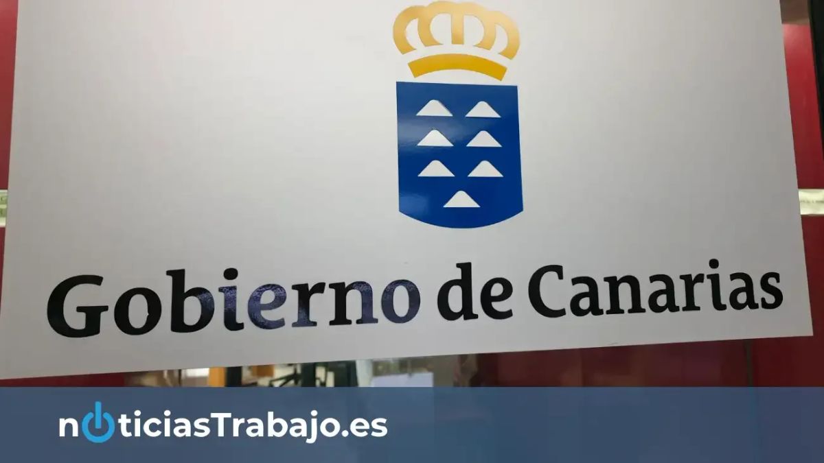 Canarias lanza una oferta de empleo con 320 plazas antes de fin de año