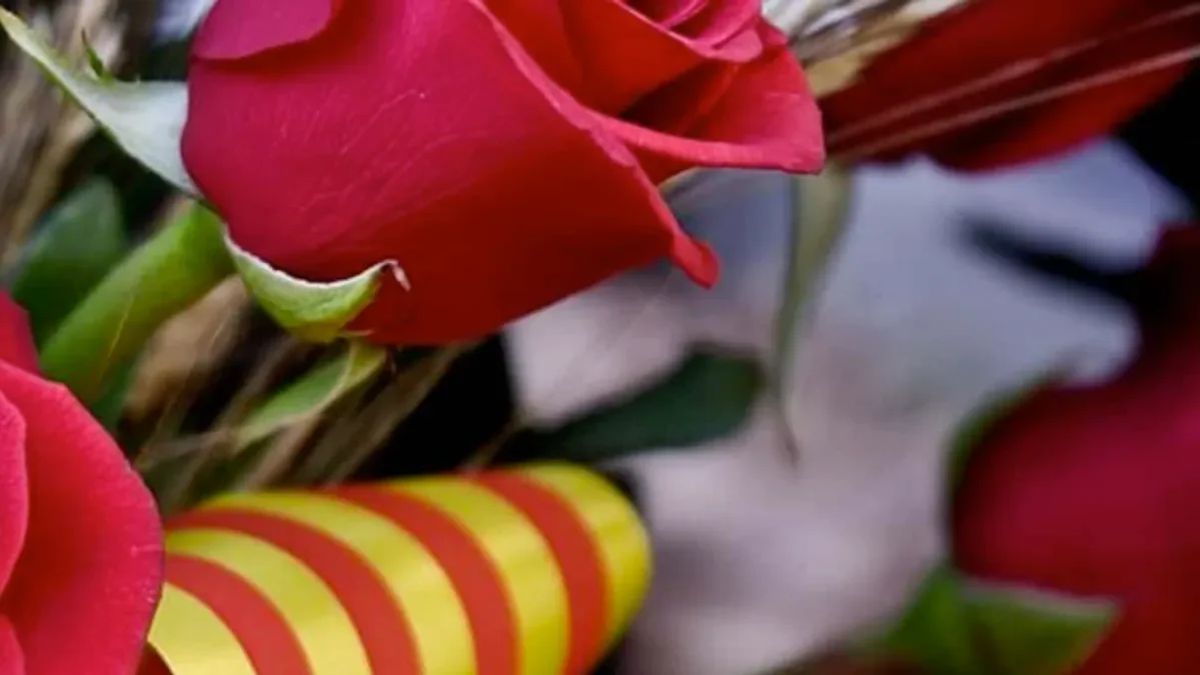 Interflora: regala flores a quién tú quieras en Sant Jordi