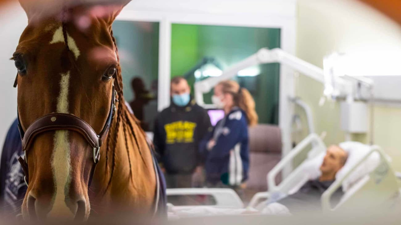 El caballo Peyo ayuda a detectar el cáncer y a sanar a los pacientes