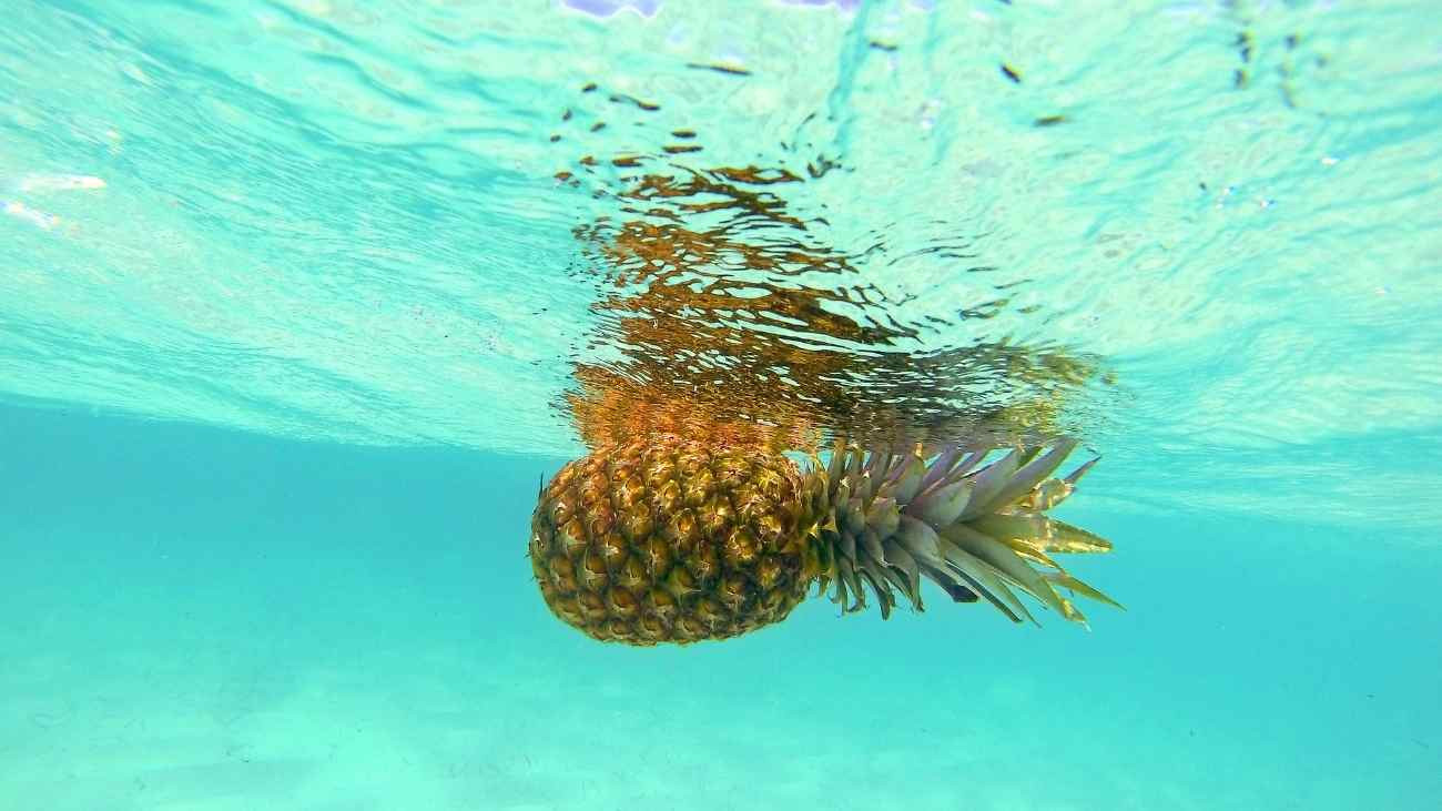 pina agua