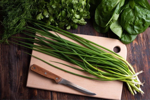 verduras hoja verde 