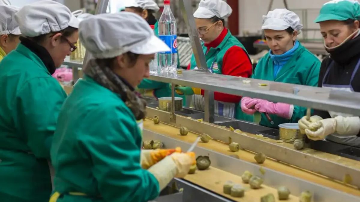 Oferta de empleo en Almería con 50 puestos de trabajo como envasadoras en almacén