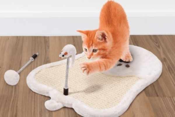 rascador gato aldi