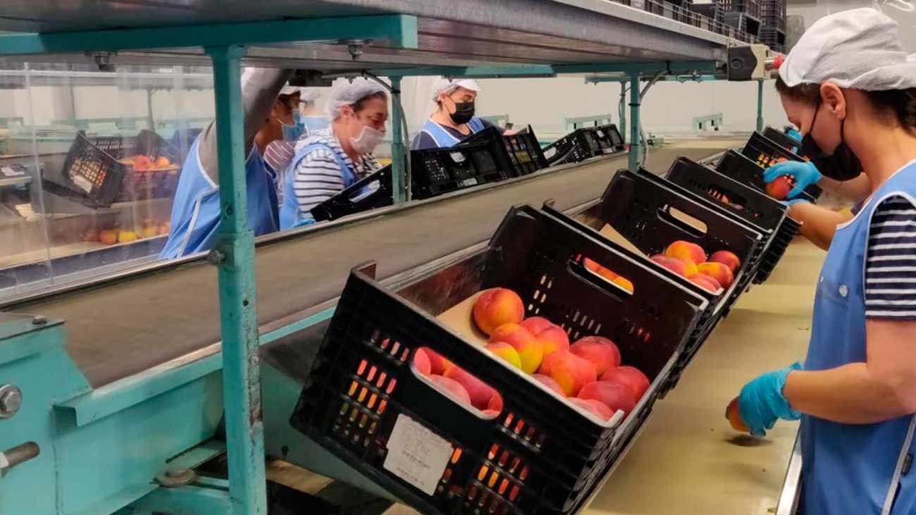 Ayudas que pueden solicitar los trabajadores fijos discontinuos