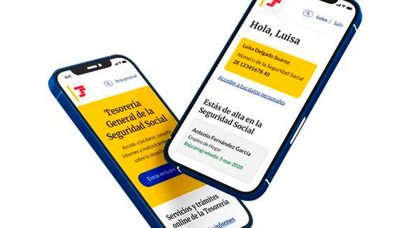 La Seguridad Social inicia la ‘campaña de vidas laborales’ a través del portal web Import@ss