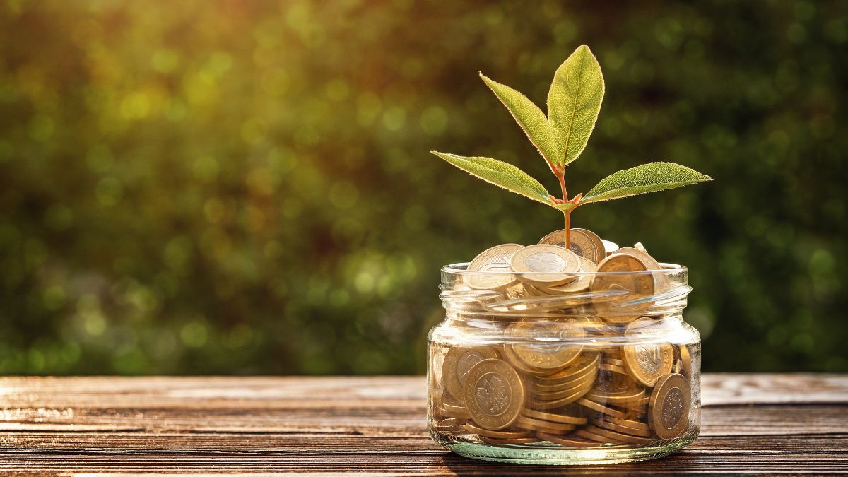 Optar por el minimalismo y el consumo responsable 