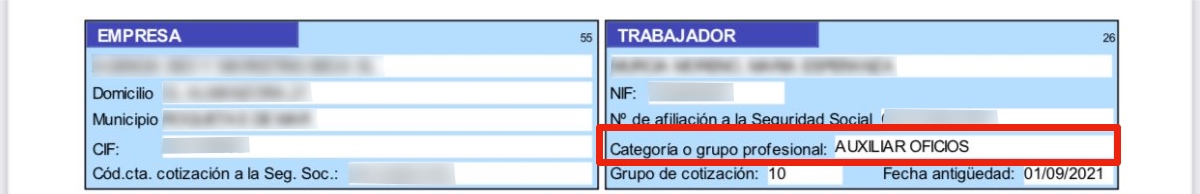 Apartado de categoría en la nómina