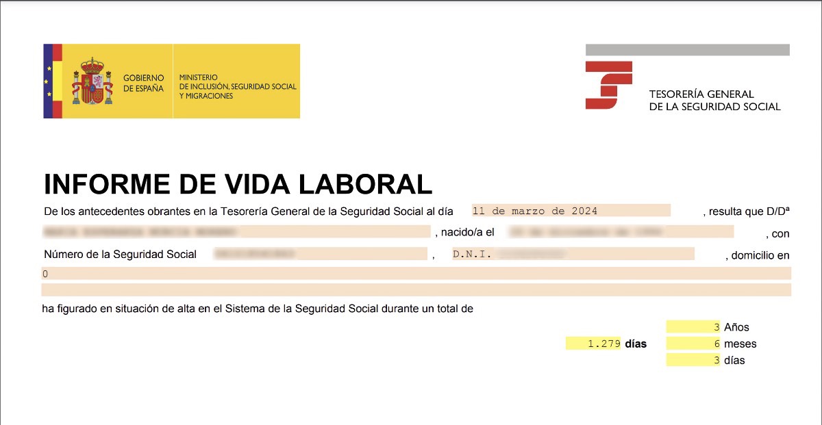 Resumen de la vida laboral
