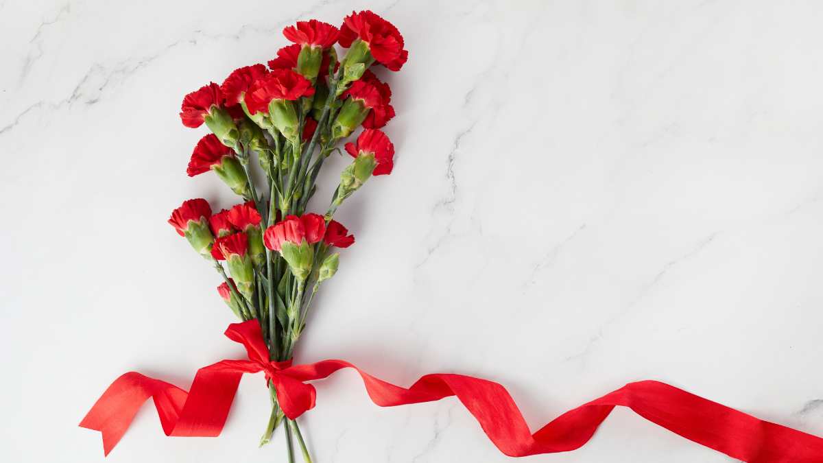 Claveles rojos