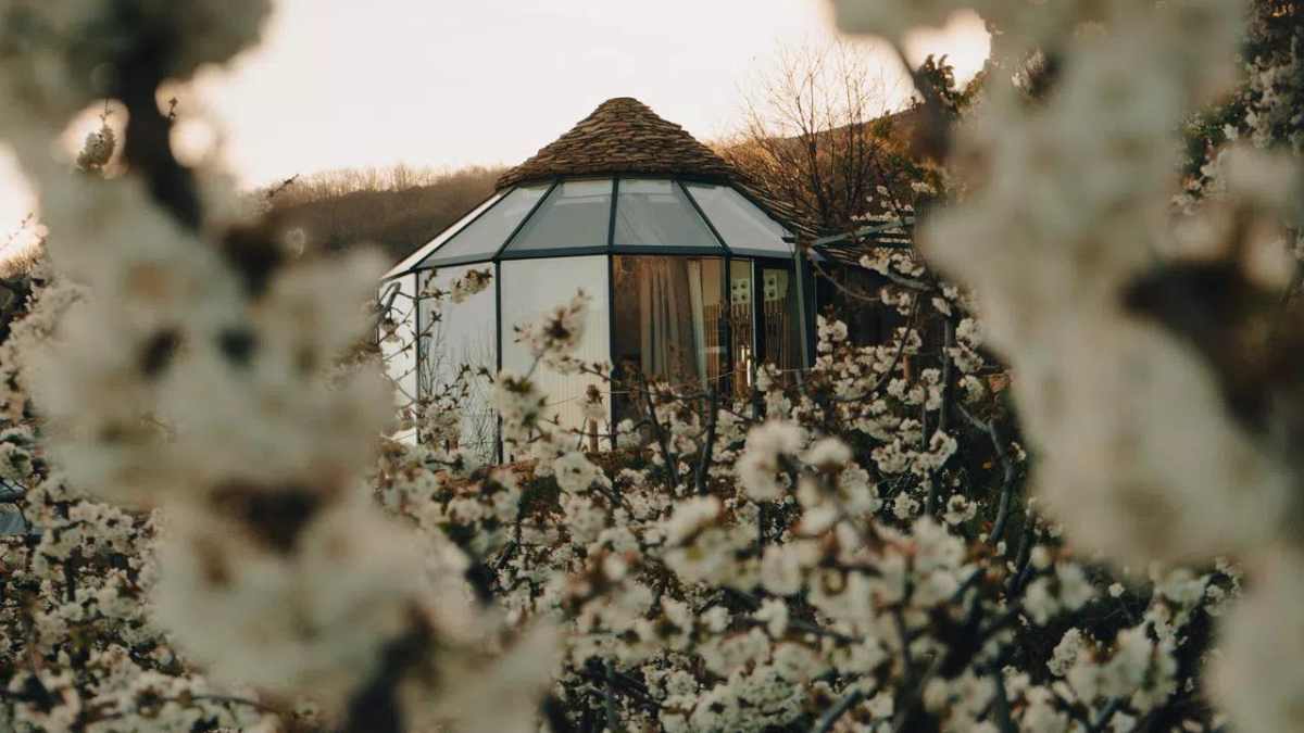 El Regajo Glamping exterior almendros flor