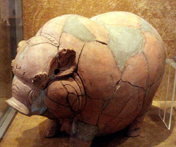 Jabalí hucha cerdito