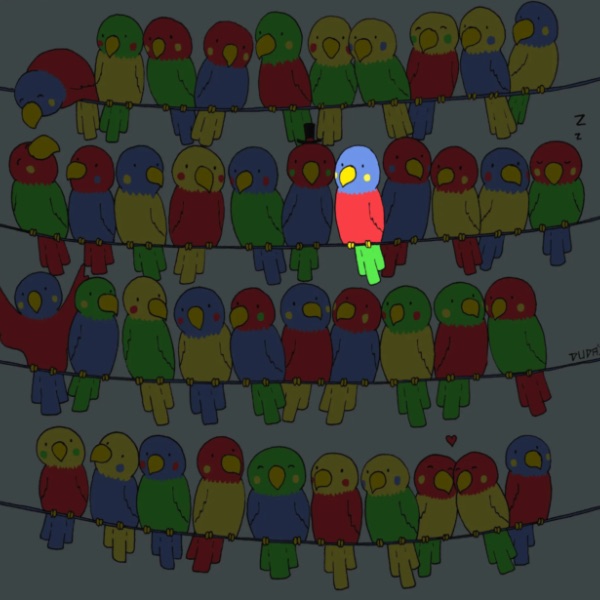 Reto visual loro solución