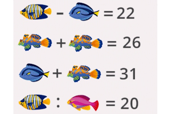 Reto peces