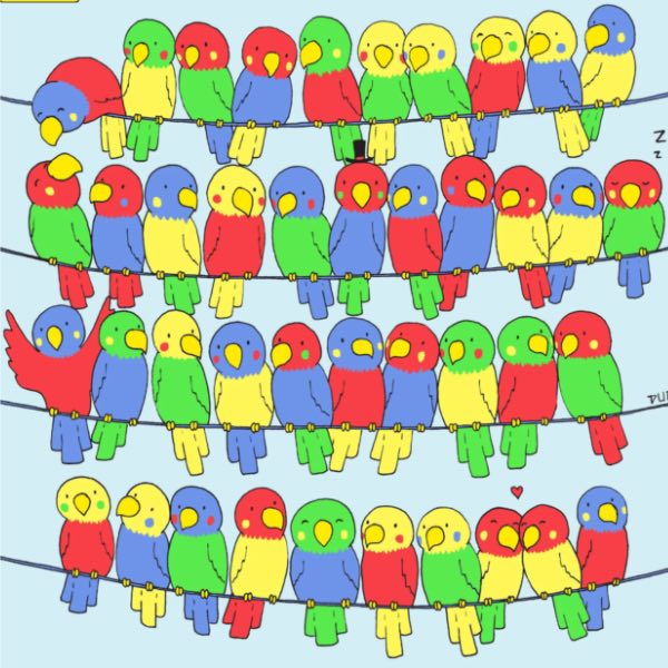 Reto visual loros