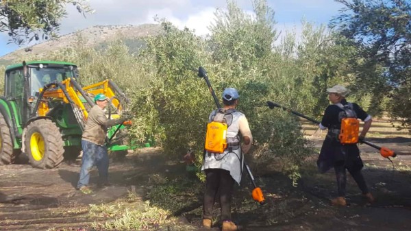 La Junta de Andalucía lanza una oferta de empleo en granada para peones agrícolas