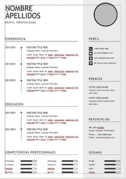 plantilla curriculum formato word