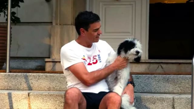 Pedro Sánchez con su perra Turca